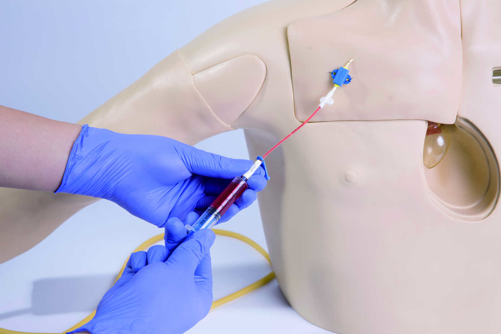 Central Venous Catheterization Simulator