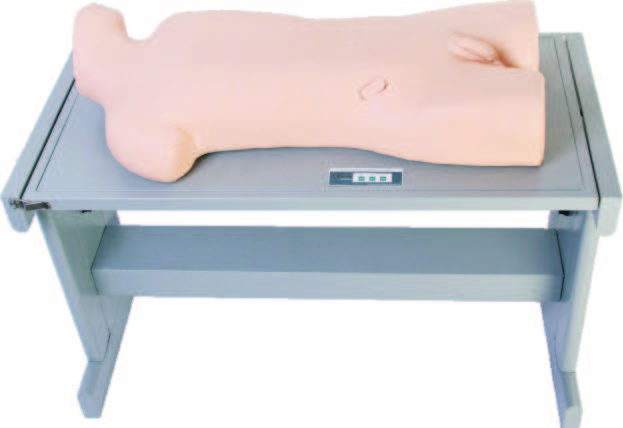 Liver Abscess Puncture & Thoracentesis Training Simulator