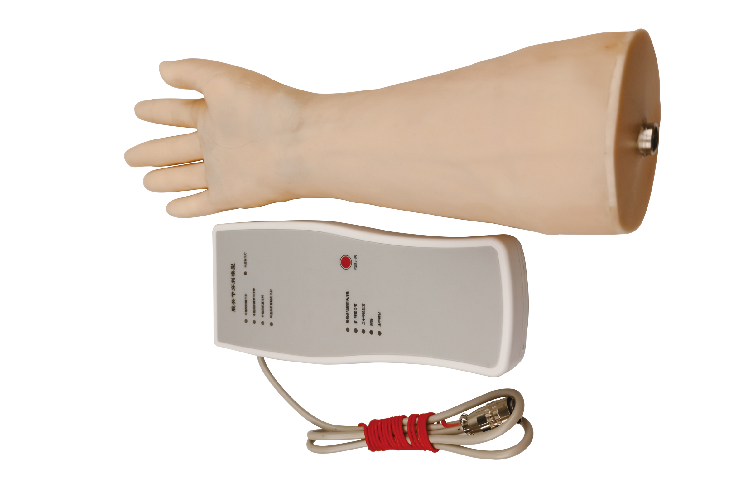 Wrist Joint Injection Model