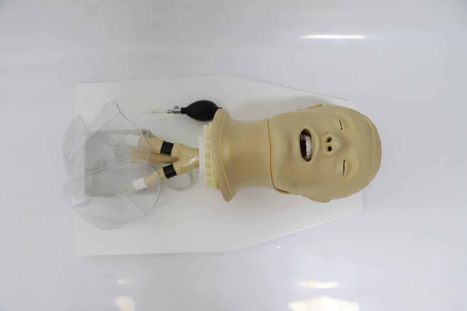 Airway Management Simulator