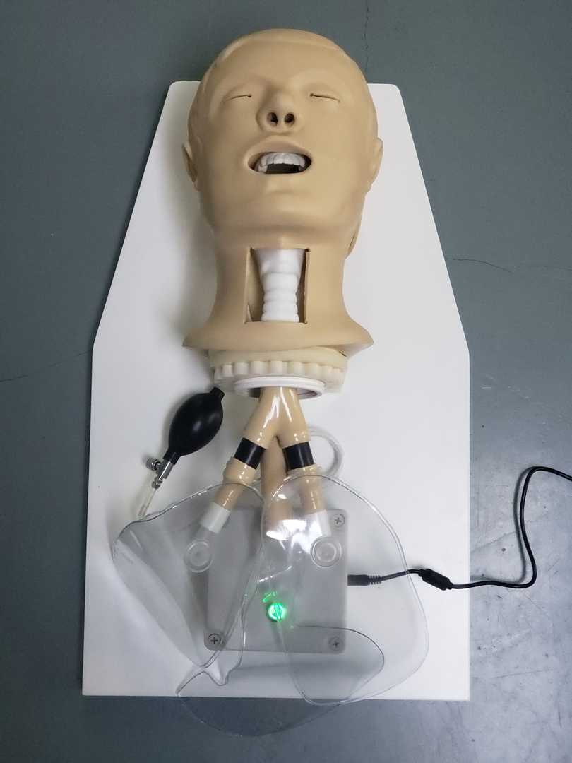 Airway Management Simulator