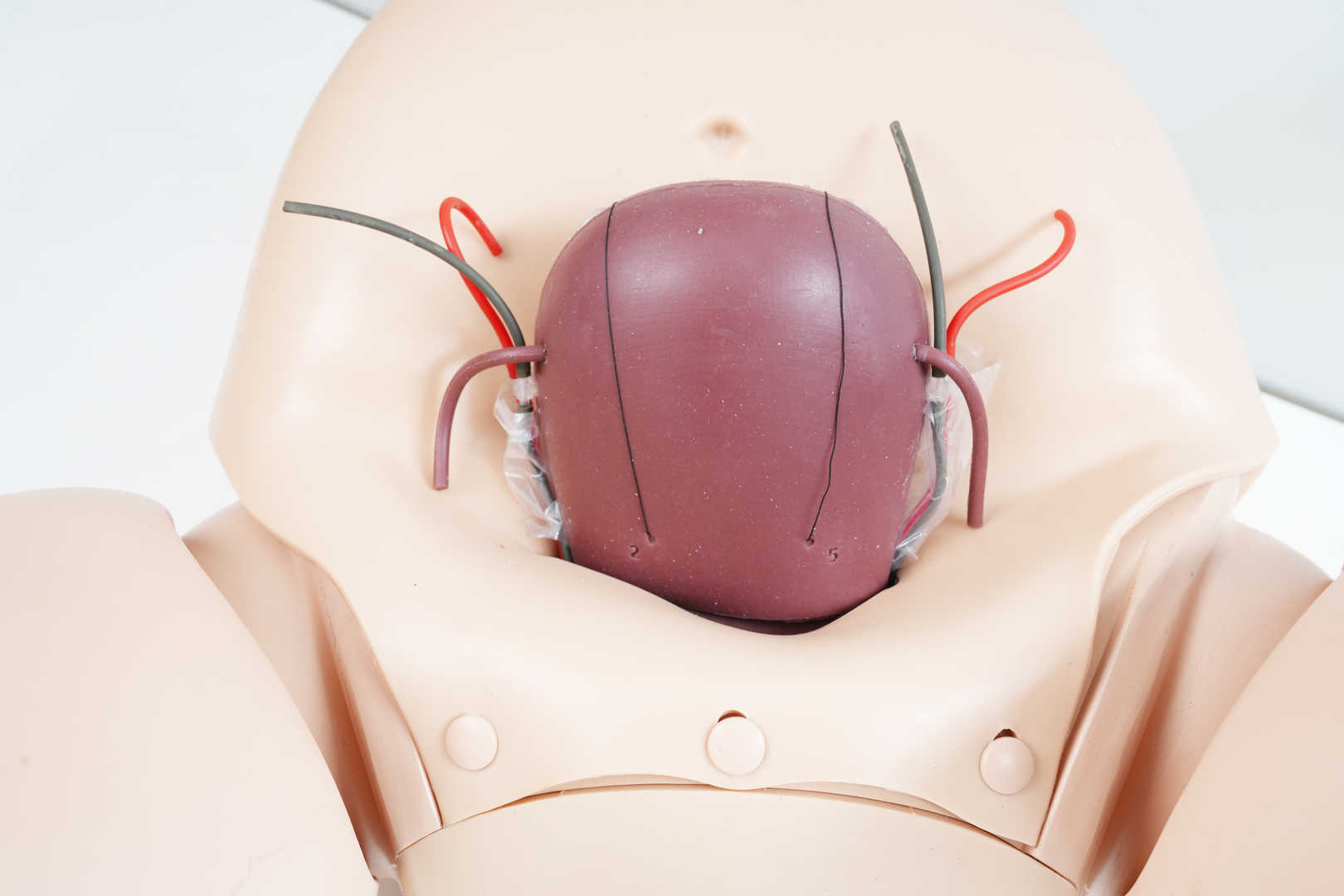 Complete Postpartum Hemorrhage Simulator (C-section) 
