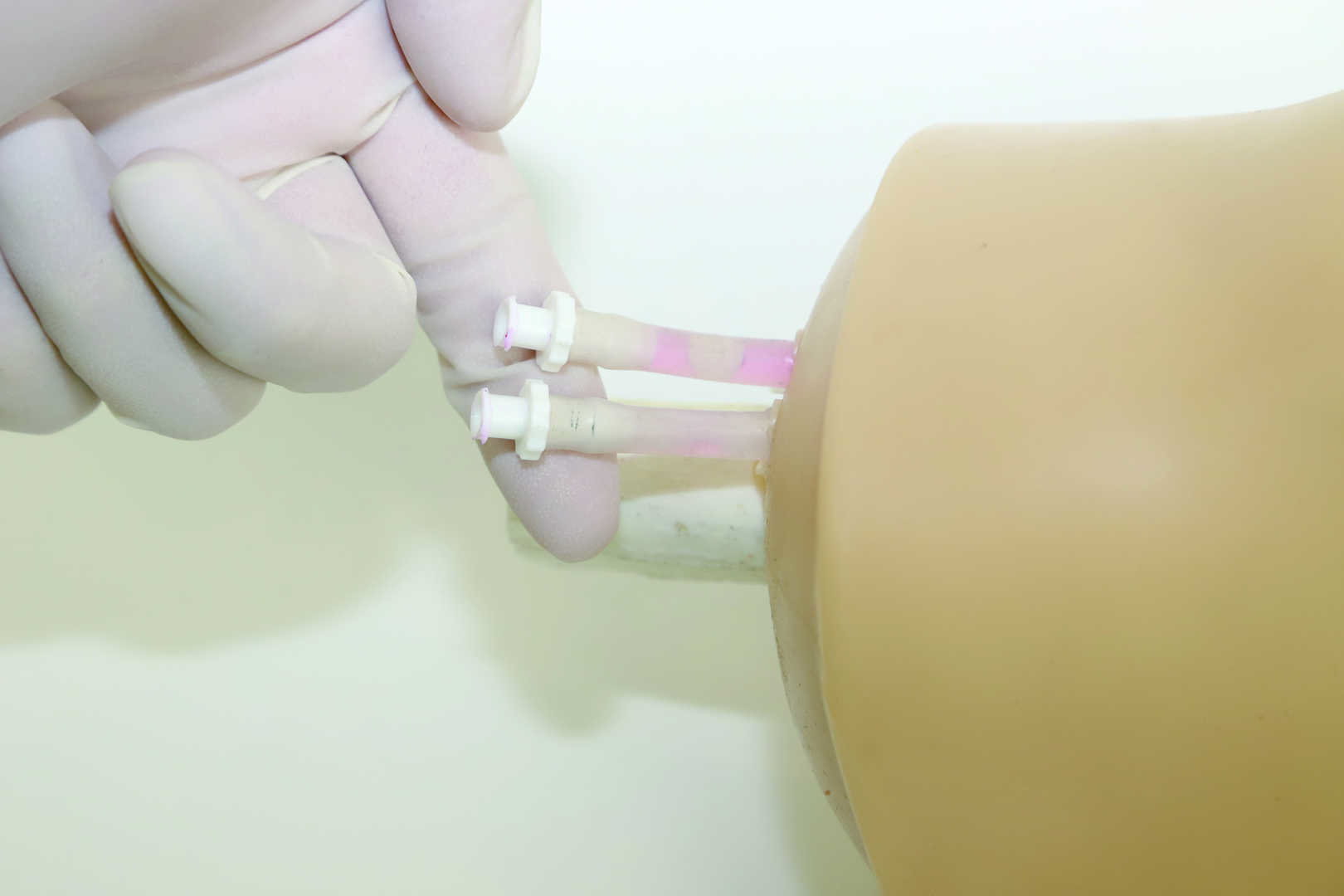 Knee Arthrocentesis Ultrasound Training Model 