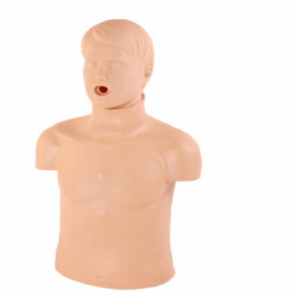 Adult Obstruction and CPR Model