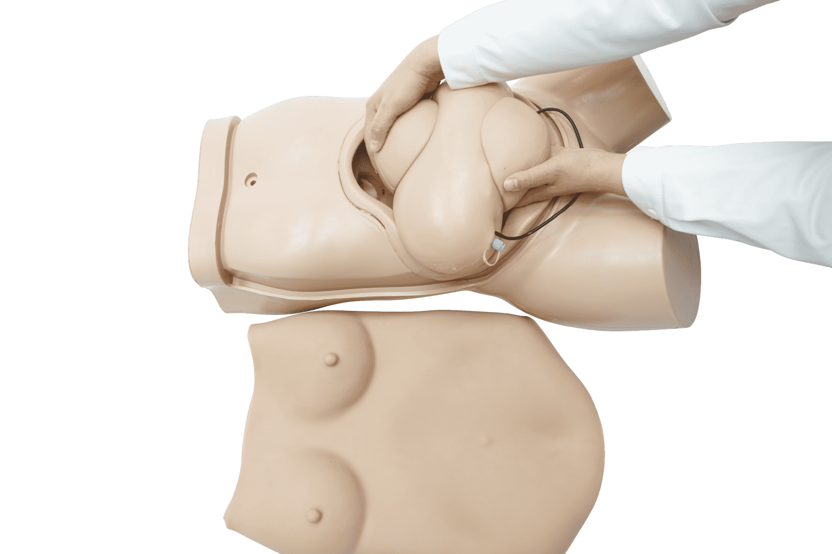 Obstetric Examination Trainer Torso