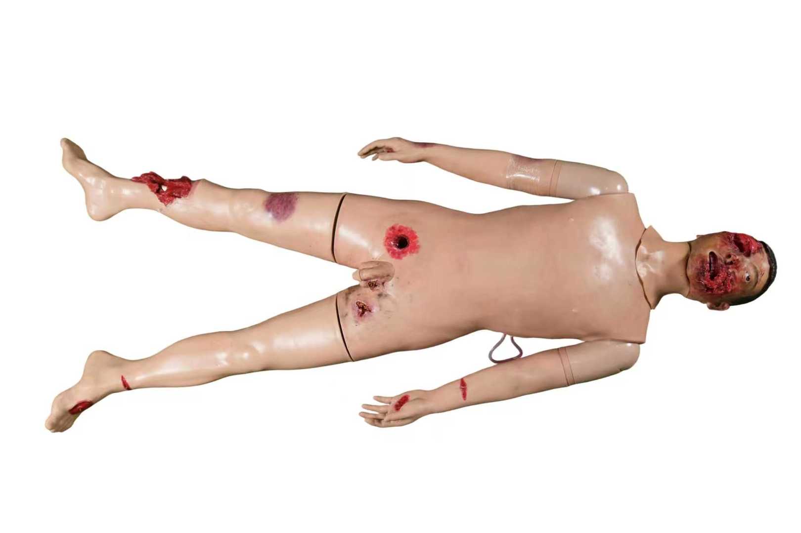 Maxillofacial Trauma & First Aid Manikin